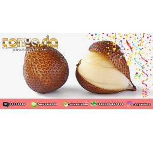 Makan Salak Jadi Susah BAB | Judi Online Indonesia